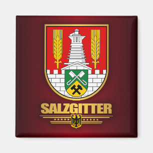 Imã Salzgitter