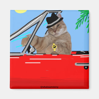 Imã Sam Le Cat Baller Cat Magnet