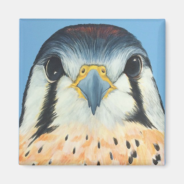 Imã Sam, um Kestral Americano (Frente)