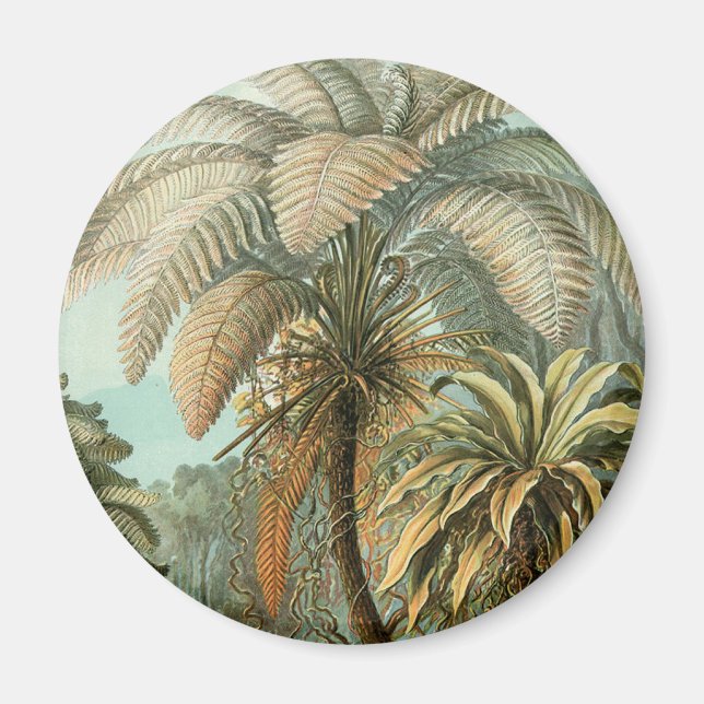 Imã Samambaia Palmeira Antiga Arte Botânica de Samamba (Frente)