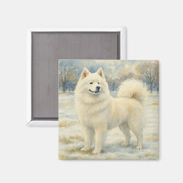 Imã Samoyed