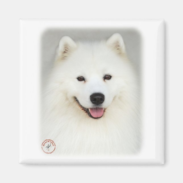 Imã Samoyed 9Y566D-019 (Frente)