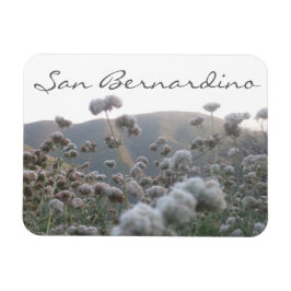 Ímã San Bernardino