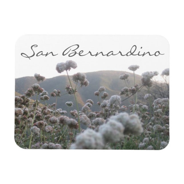 Ímã San Bernardino (Horizontal)