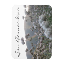 Ímã San Bernardino