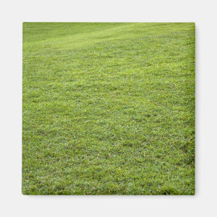 Imã San Juan, Porto Rico - A grama verde é