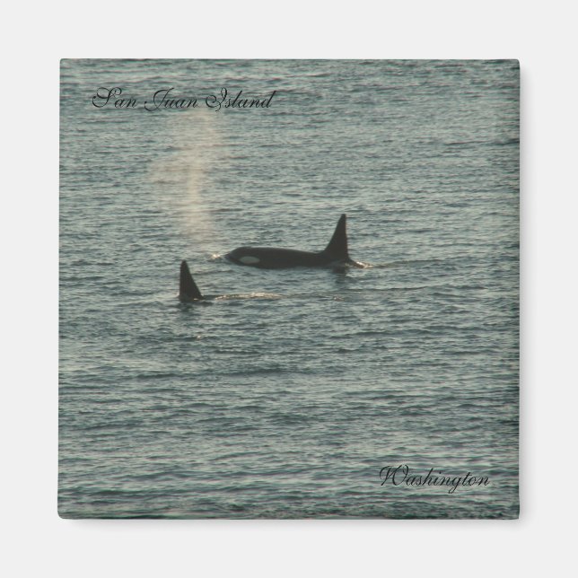 Imã San Juans (Frente)