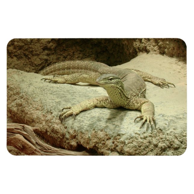 Ímã Sand Goanna (Horizontal)