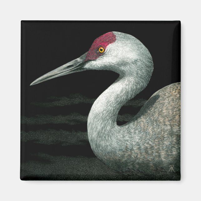 Imã Sandhill Crane Magnet - Grassland Grace (Frente)