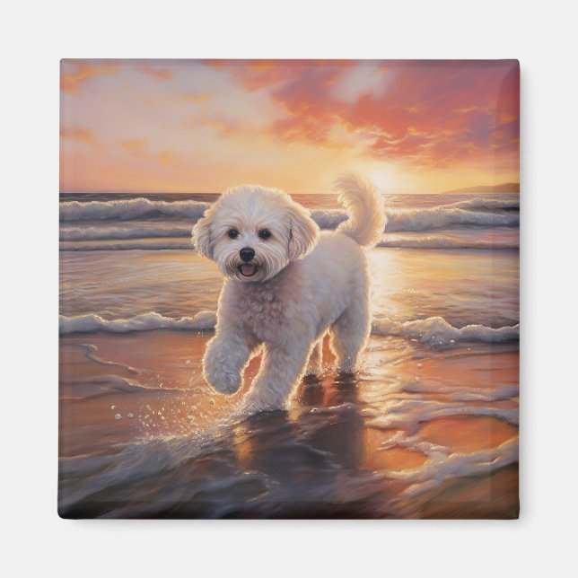 Imã Sandy Paws Bichon Frise Dog em Beach Sunset (Frente)