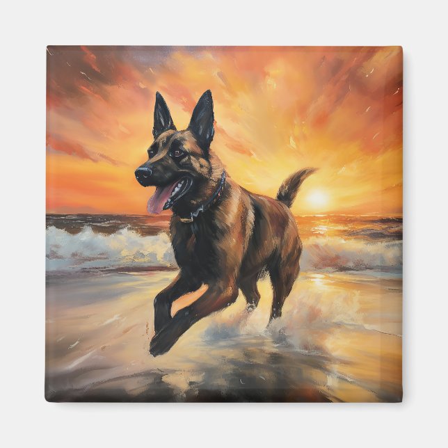 Imã Sandy Paws Cachorro Malinois Belga em Beach Sunset (Frente)