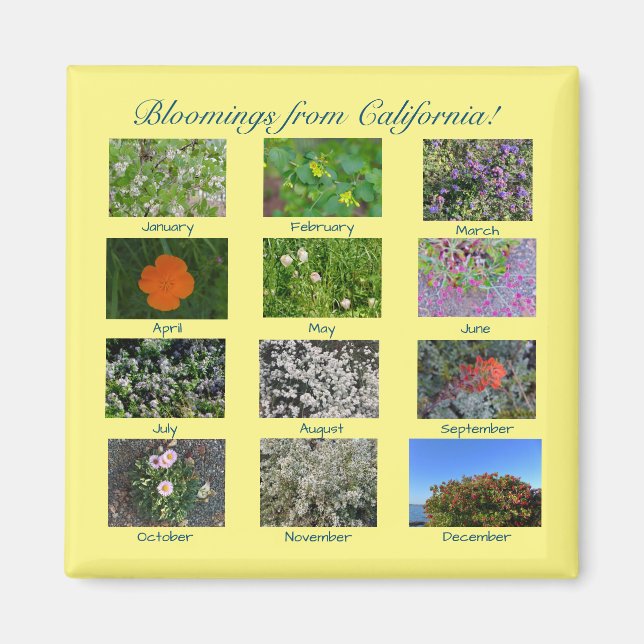 Imã Sangue da Califórnia! (Frente)