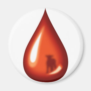 Imã Sangue do cordeiro Jesus