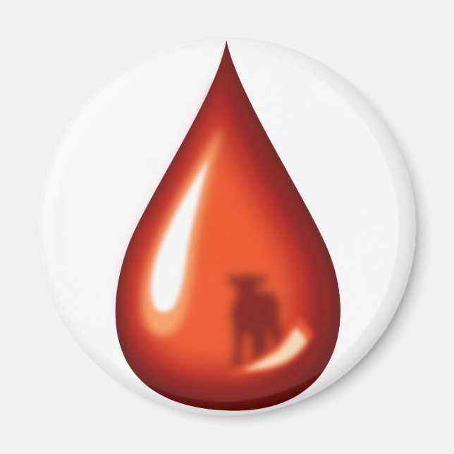 Imã Sangue do Lamb - Jesus (Frente)