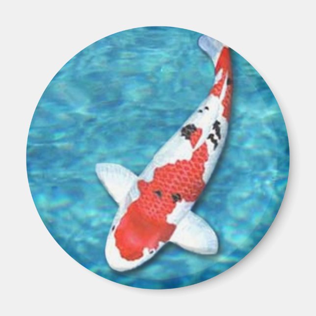 Imã Sanke Magnet (Frente)