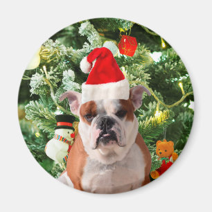 Imã Santa Hat Bulldog Árvore de Natal Snowman Caixa de