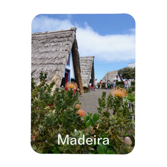 Ímã Santana - Madeira (Vertical)