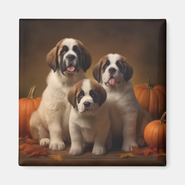 Imã Santo Bernard Puppy Autumn Delight Pumpkin (Frente)