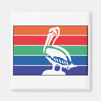 Imã Santo Petersburg Flórida