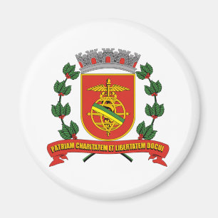 Imã Santos Saopaulo Brasil, bandeira do Brasil