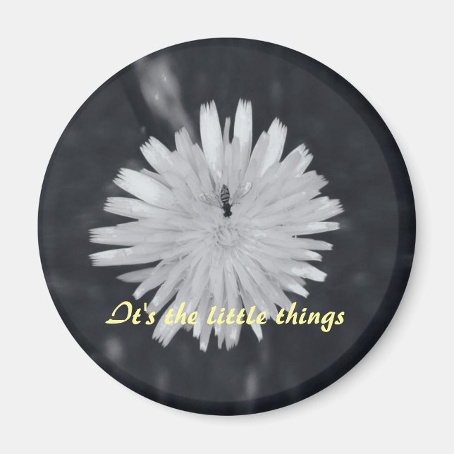 Imã São as Pequenas Coisas (Frente)