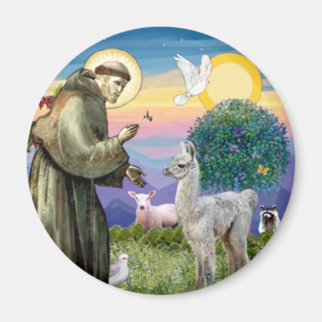 Imã São Francisco e Bebê Lhama (Frente)
