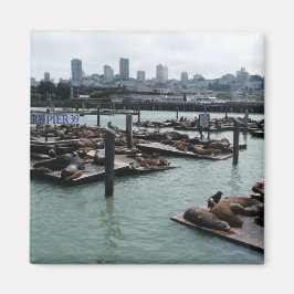 Imã São Francisco e Leões Marinhos do Pier 39 Silhueta