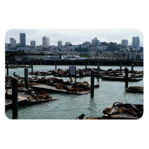 Ímã São Francisco e Pier 39 Sea Lions City Skyline