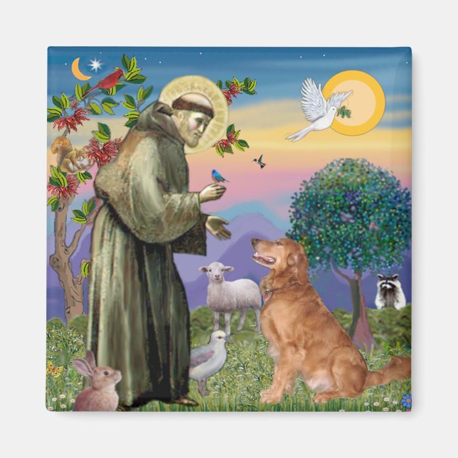 Imã São Francisco - Retriever Dourado (#1) (Frente)