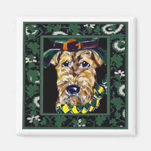 Imã São Patrício Airedale