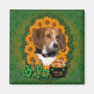 Imã São Patrício - Pote do Dourado - Beagle