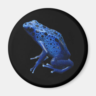 Imã Sapo Dart Azul