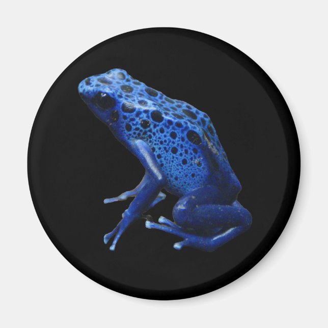 Imã Sapo Dart Azul (Frente)
