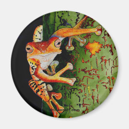 Imã Sapo de árvore