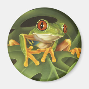 Imã Sapo de Árvore Vermelha