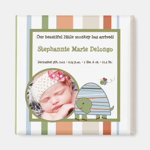 Imã sapo de Tartaruga de Praia de Laguna 2"x2"