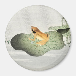 Imã Sapo na folha de lótus - ímã Koson