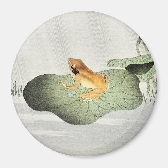 Imã Sapo na folha de lótus - ímã Koson (Frente)
