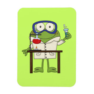 Ímã Sapo no laboratório de ciência