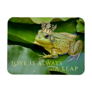 Ímã Sapo Prince no Lily Pad