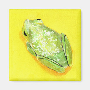Imã Sapo verde no watercolour amarelo do fundo