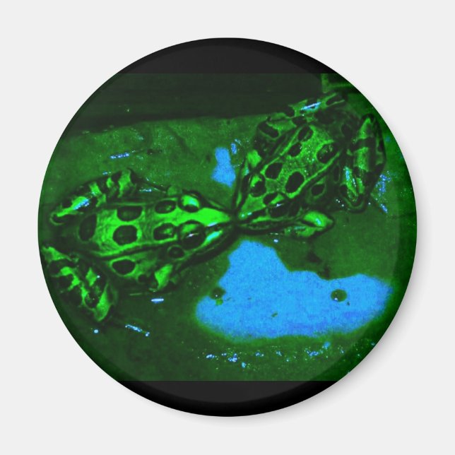 Imã sapos kissy (Frente)