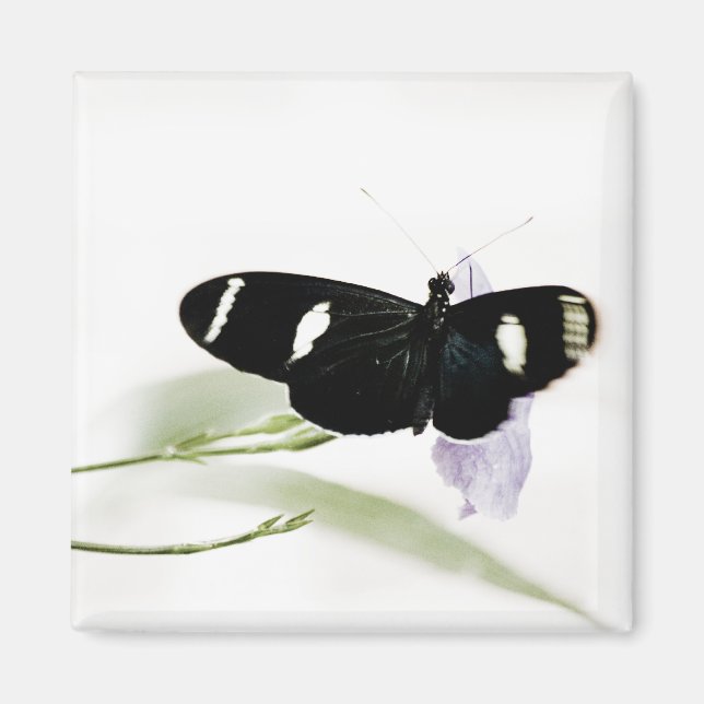 Imã Sara Magnet (Frente)