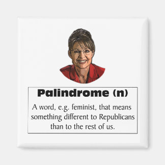 Imã Sarah Palin é feminista?