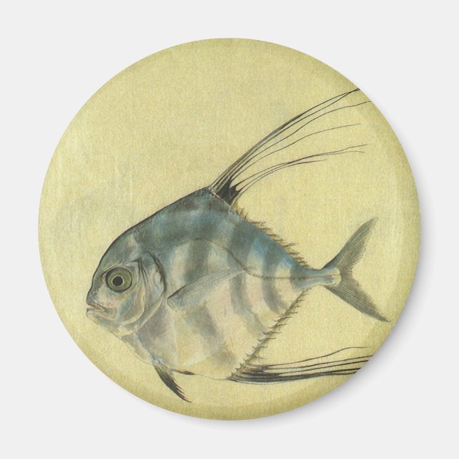 Imã Saramunete de Threadfin Vintage, Peixe Pompano Afr (Frente)