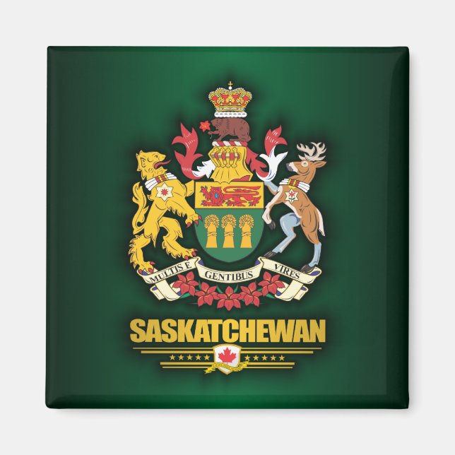 Imã Saskatchewan COA (Frente)