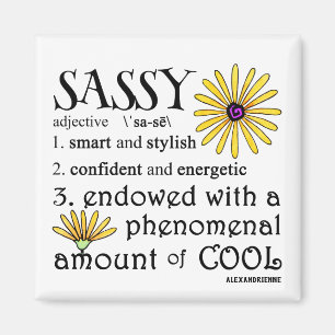 Imã Sassy definido