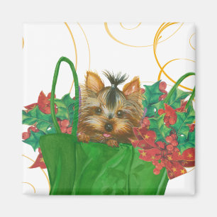 Imã Saudação de Natal de Yorkshire Terrier Puppy