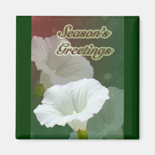 Imã Saudações da temporada - Branca de Bindweed