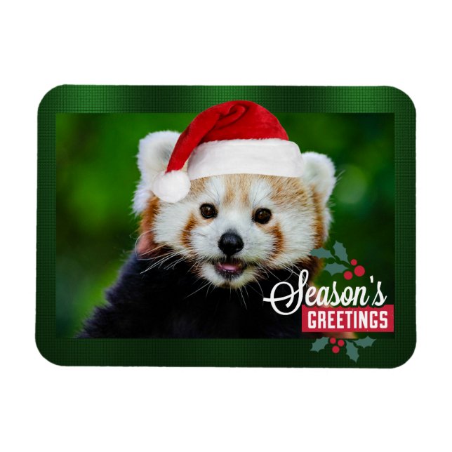 Ímã Saudações do Red Panda (Horizontal)